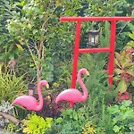 Uni-naehe Mit Garten *