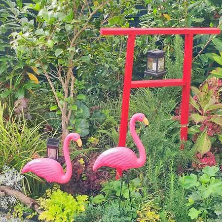 Uni-naehe Mit Garten *