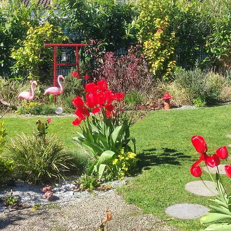 Uni-naehe Mit Garten Μπόχουμ